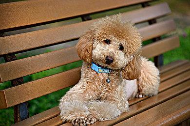 《羊蹄山之魂》女主泡温泉视频 网友：不如境井仁